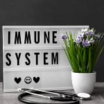 Immune System - a strength to fight cancer
